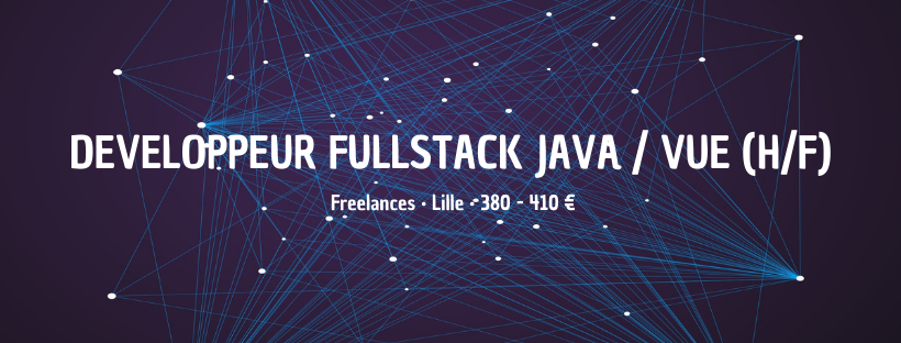 Développeur Fullstack JAVA Vue H F Insitoo Lille Mission