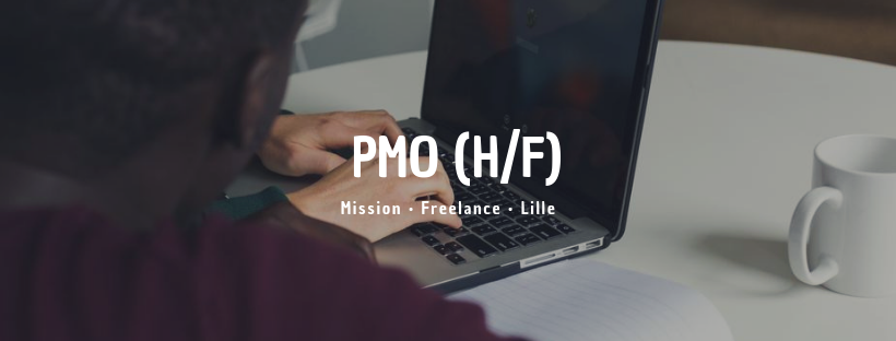 PMO Project Management Officer
