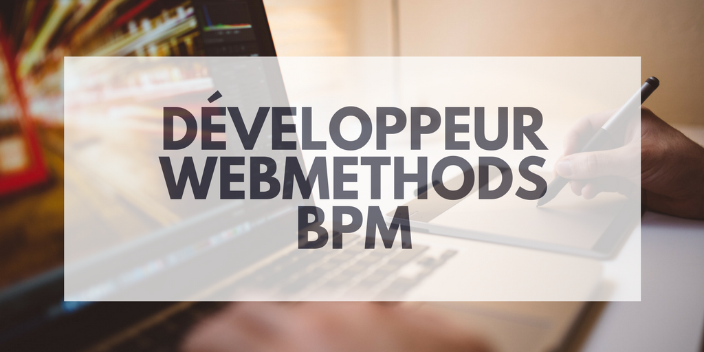 Développeur WebMethods BPM