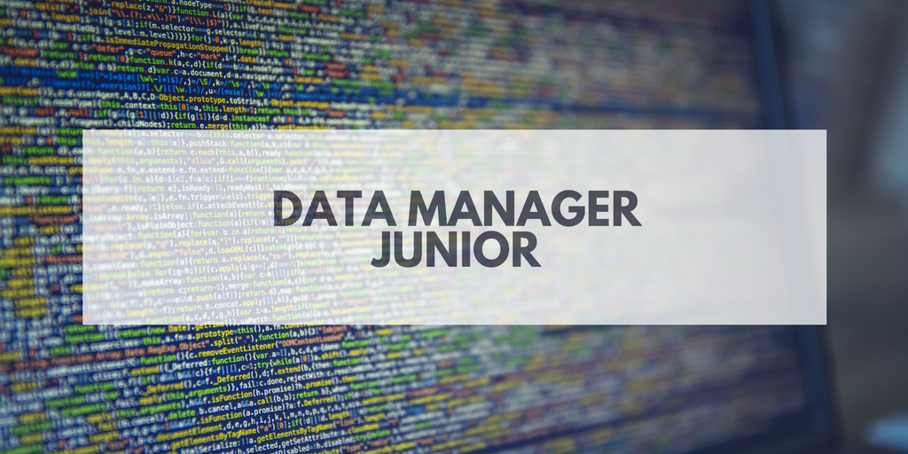 data manager junior