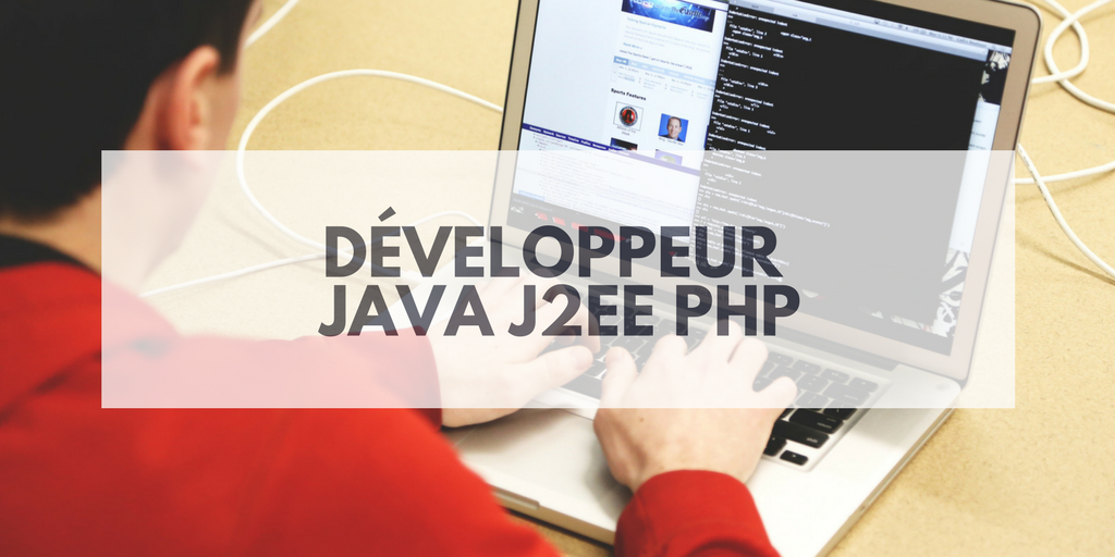 Développeur Java J2EE PHP - Insitoo Lyon - Mission Freelance ...