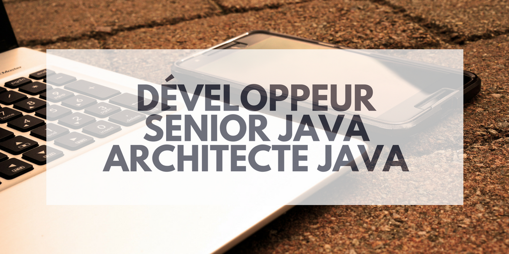 Développeur Senior Architecte Java