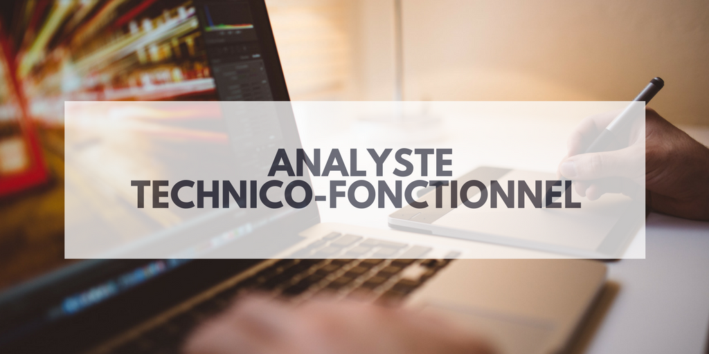 Analyste Technico Fonctionnel