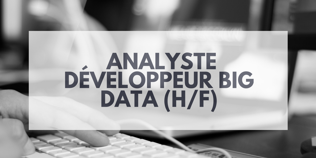  Analyste Développeur Big Data