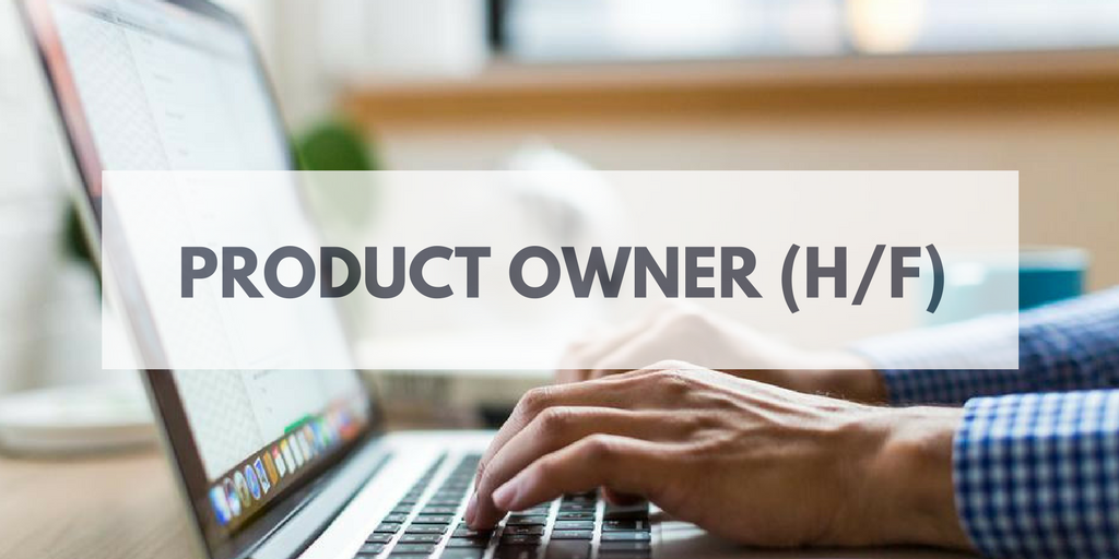 Proxy Product Owner (H/F) 