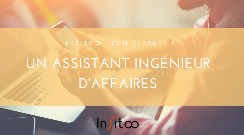  Assistant Ingénieur d'Affaires