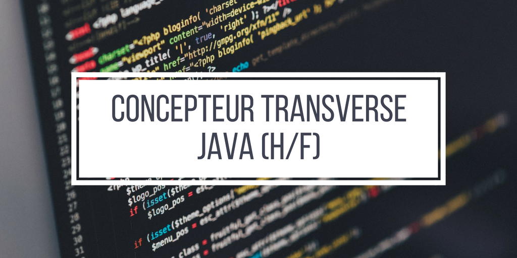 Concepteur Transverse Java (H/F) - Insitoo Lille - Mission Freelances ...