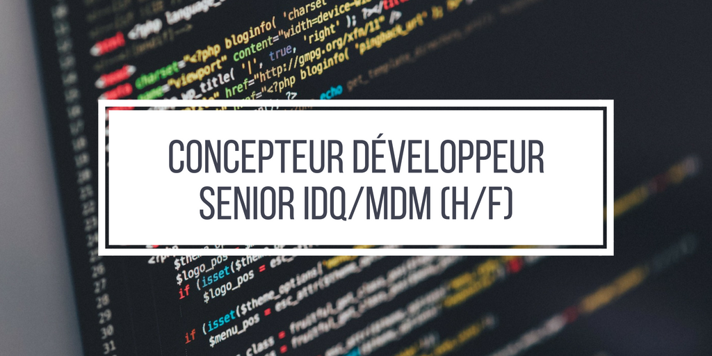 Concepteur Développeur Senior IDQ/MDM