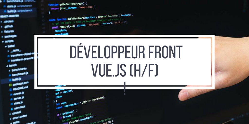  Développeur Front VueJs (H/F)