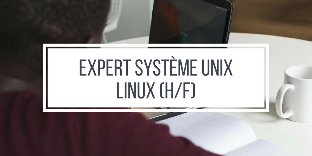 Expert Système Unix Linux (H/F)