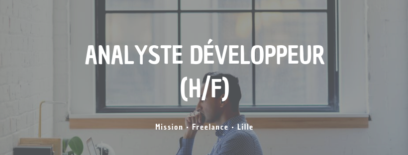 Analyste Développeur