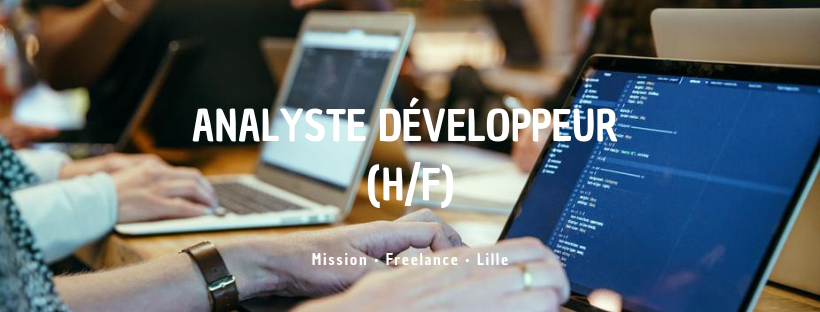 Analyste Développeur