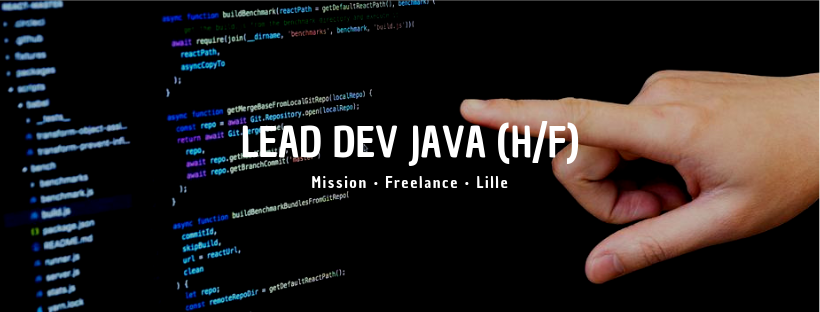 Lead Dev Java