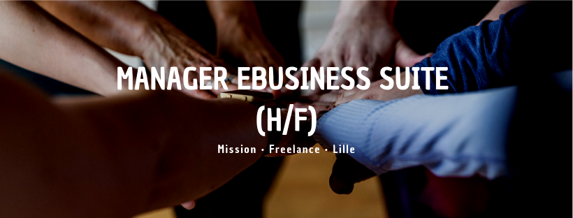 Manager eBusiness Suite (H/F)