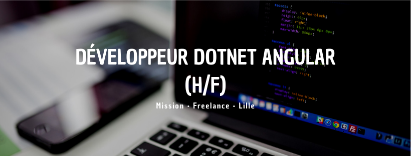 Développeur DotNet Angular (H/F)