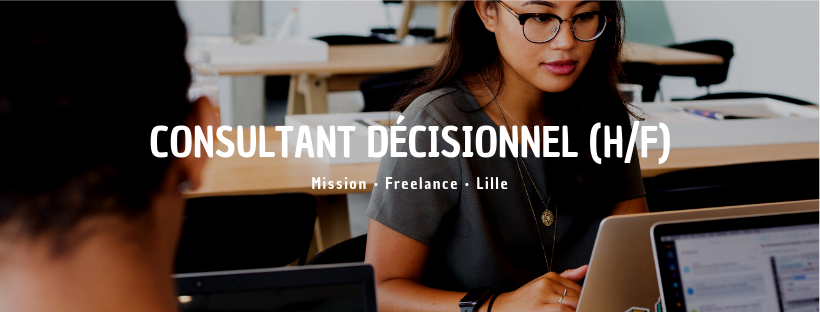  Consultant Décisionnel