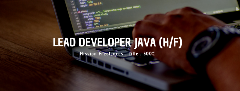 Lead Developer Java (H/F)