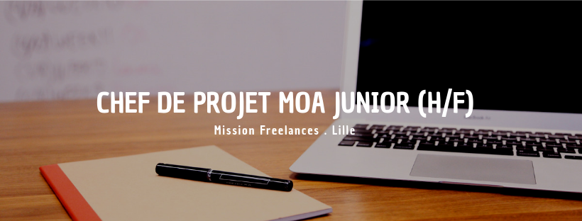 Chef de projet MOA junior (H/F)