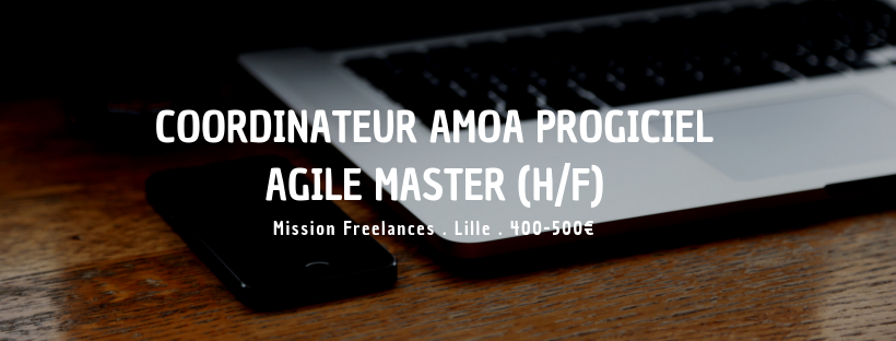Coordinateur AMOA Progiciel / Agile Master (H/F)