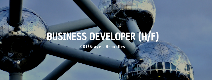 Business Developer (H/F)