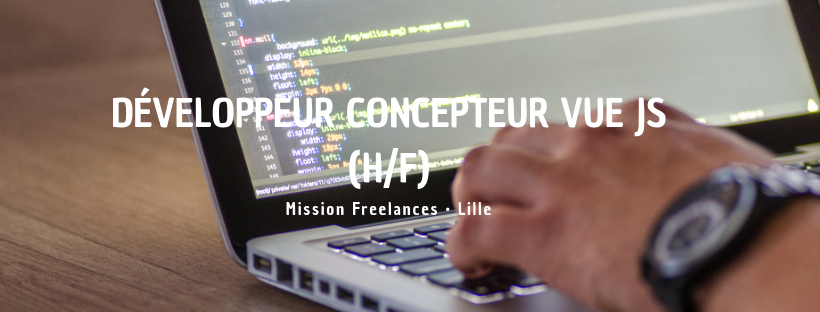 Développeur Concepteur Vue JS (H/F)