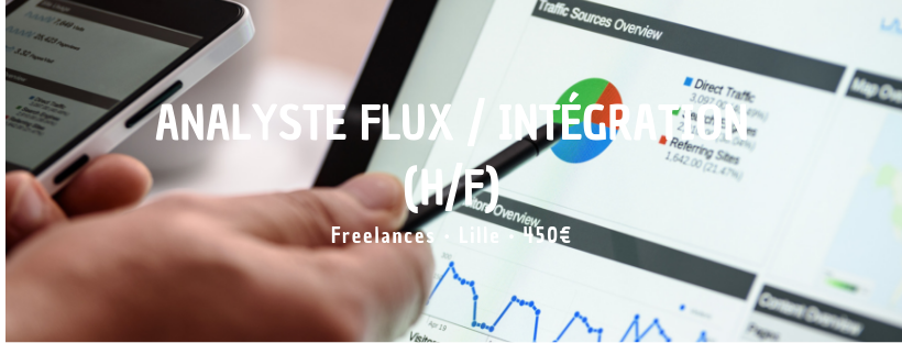 Analyste Flux / Intégration (H/F)