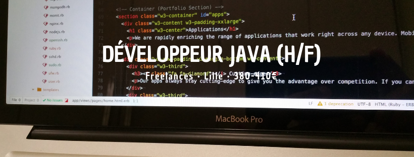 Développeur Java (H/F)