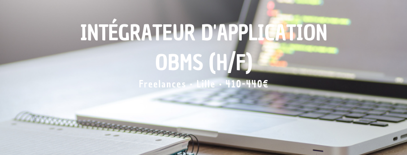 Intégrateur d'Application OBMS (H/F)
