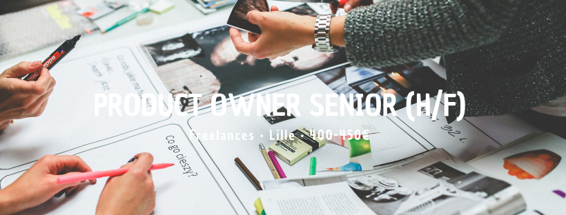 Product Owner Senior (H/F)