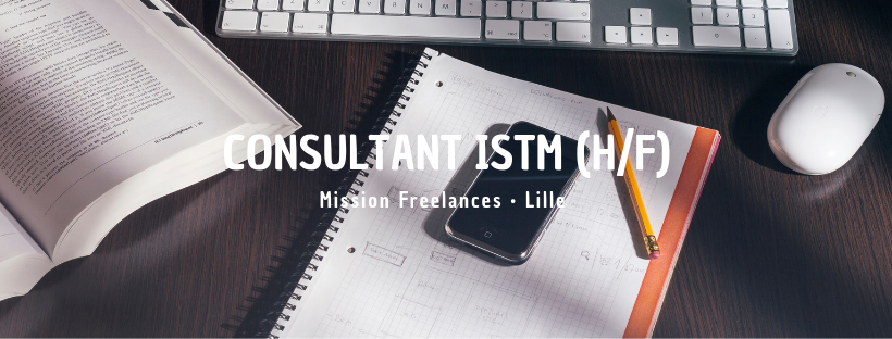 Consultant ISTM (H/F)