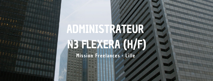 Administrateur N3 Flexera (H/F)