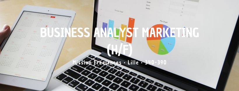 Business Analyst Marketing (H/F)
