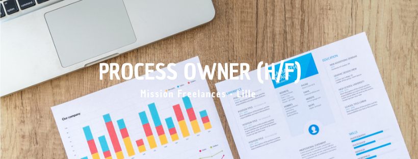 Process Owner (H/F)
