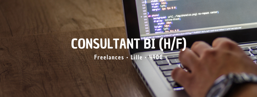 Consultant BI (H/F)