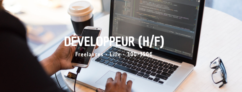 Développeur (H/F)