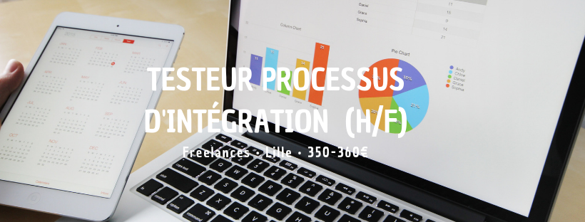 Testeur Processus d'intégration  (H/F)