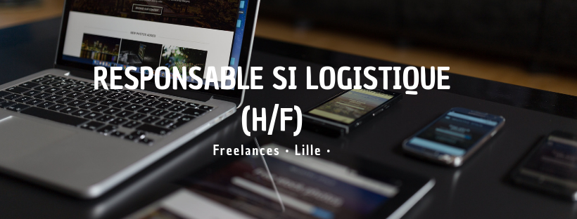 Responsable SI Logistique (H/F)