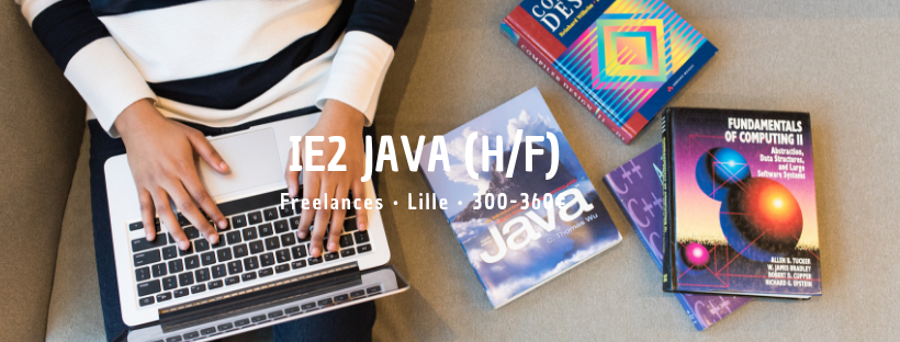 IE 2 Java (H/F)