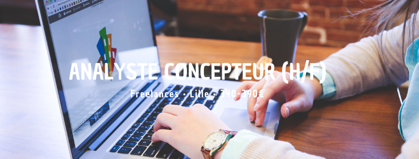 Analyste Concepteur (H/F)