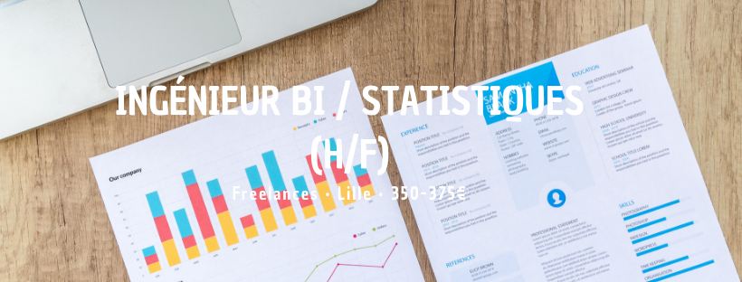 Ingénieur BI / Statistiques (H/F) 