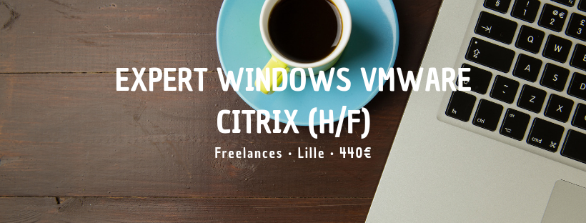 Expert Windows VMware Citrix (H/F)