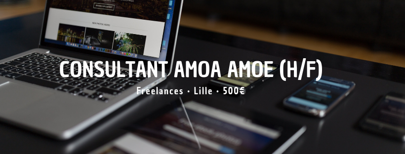 Consultant AMOA AMOE (H/F)