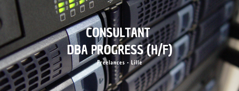 Consultant DBA Progress (H/F)