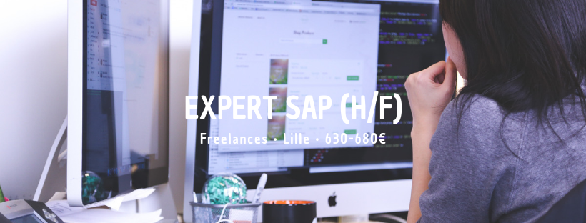 Expert SAP (H/F)