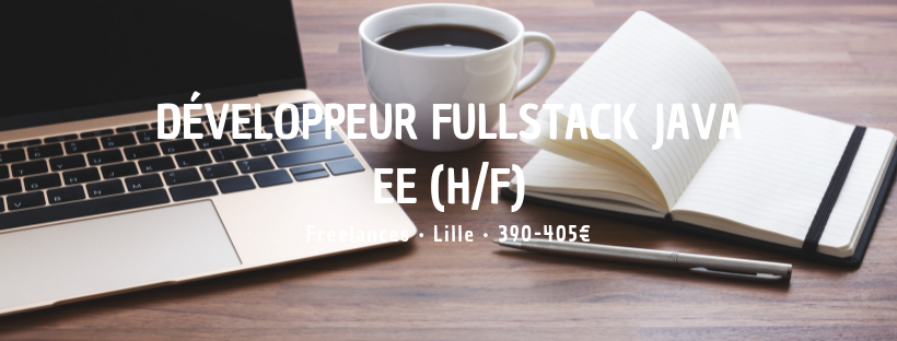 Développeur Fullstack Java EE (H/F)