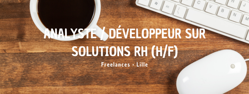 Analyste / Développeur sur solutions RH (H/F)