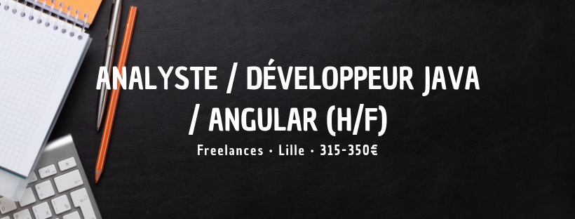 Analyste / Développeur Java / Angular (H/F)