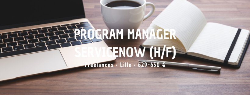 Program Manager ServiceNow (H/F)
