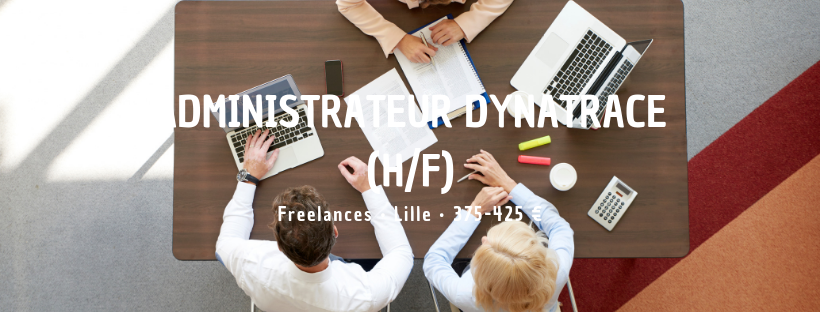 Administrateur Dynatrace (H/F) 