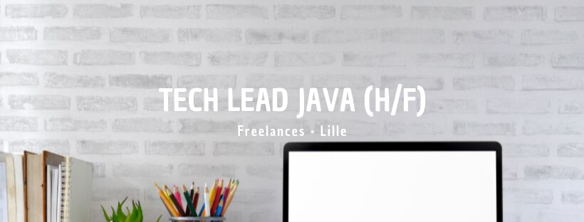 Tech Lead Java (H/F)